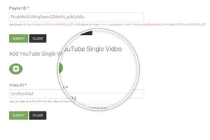 Type YouTube Single Video Id